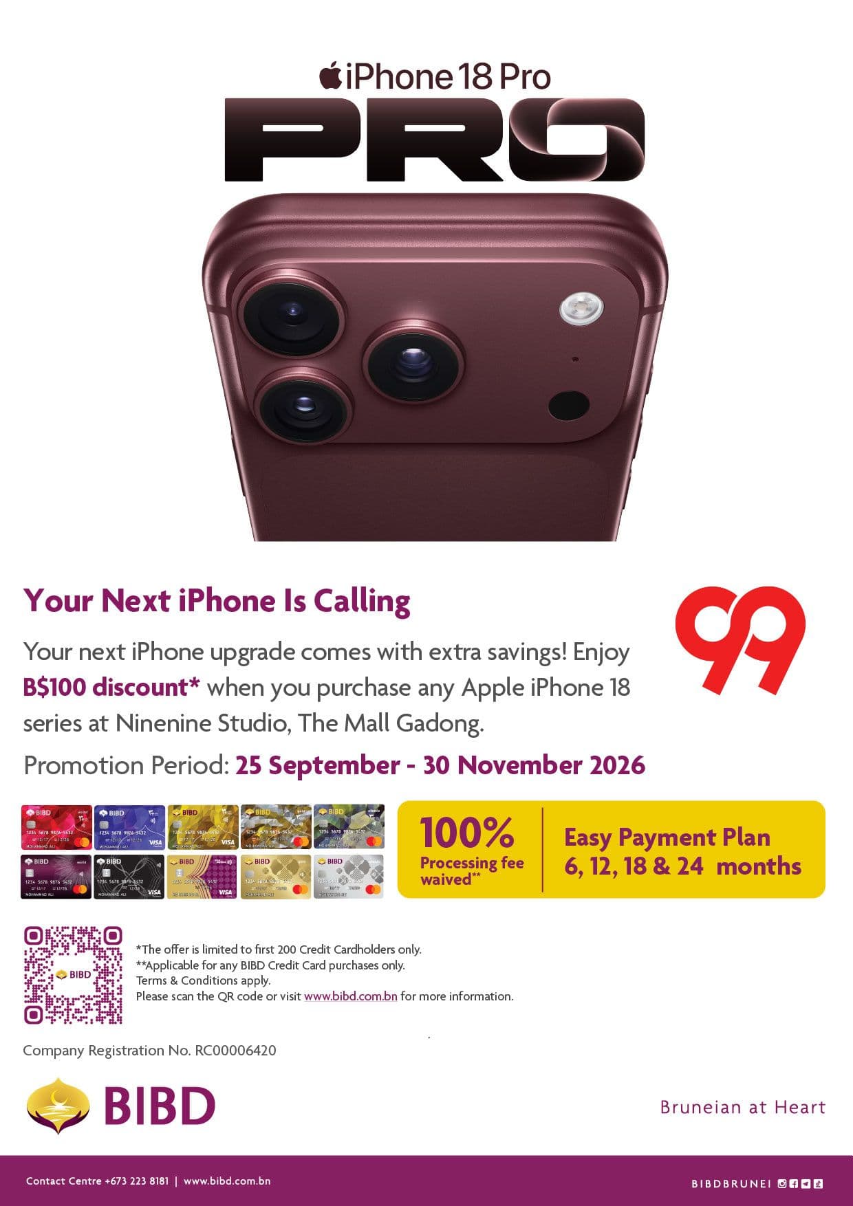 BIBD Cards x Ninenine Studio