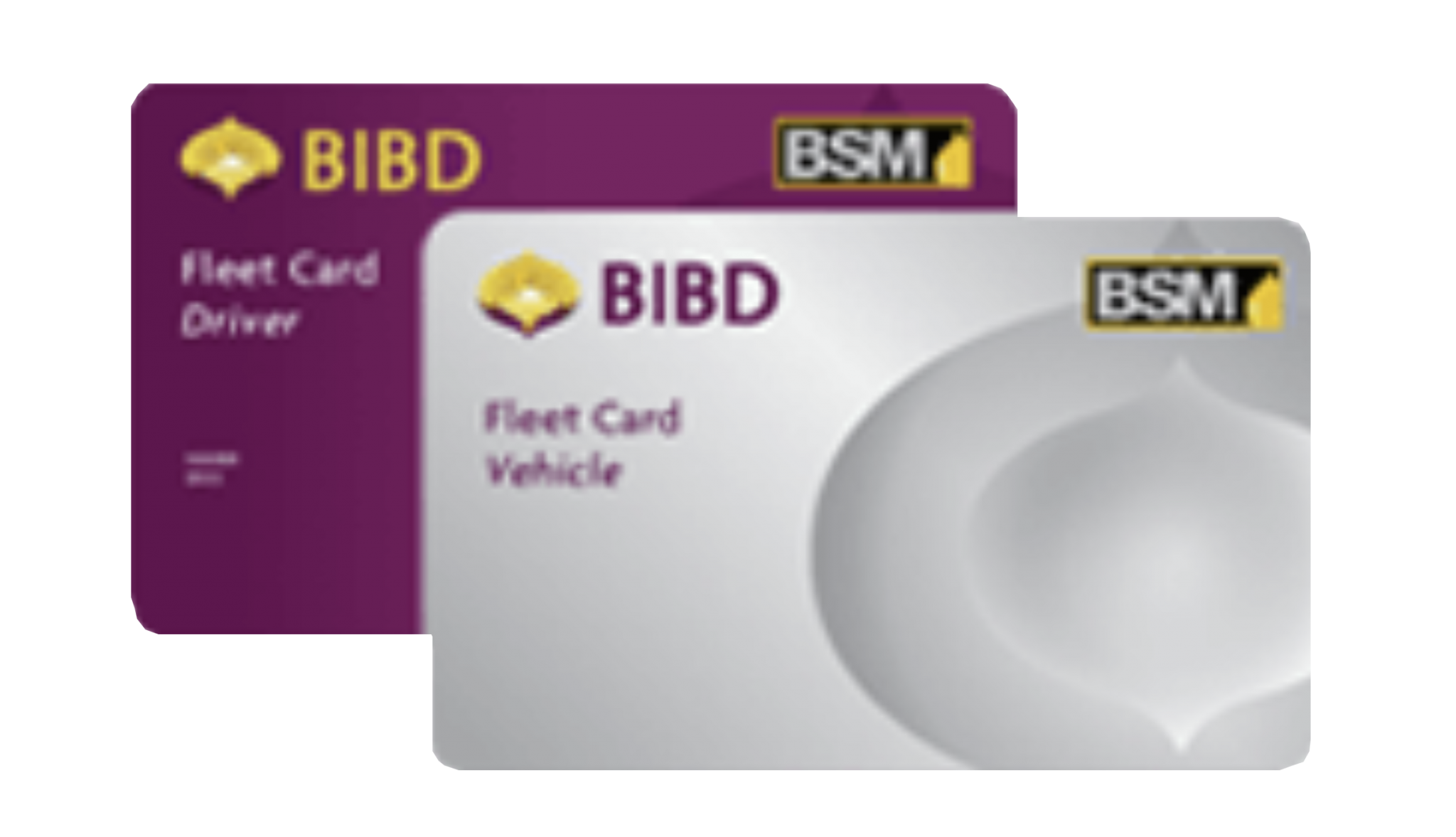 Corporate Cards BIBD